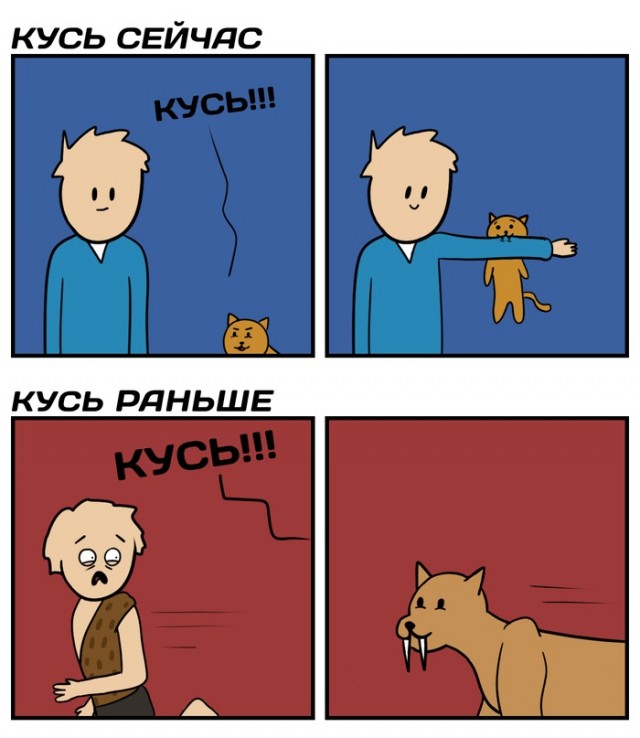 Весёлый полтишок 26.09