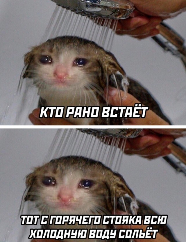 Всяческие картинки 08.11.2021