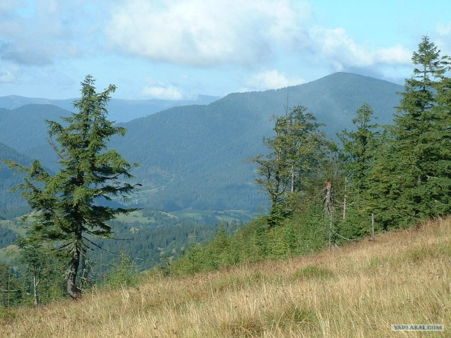 Карпаты, Закарпатье.