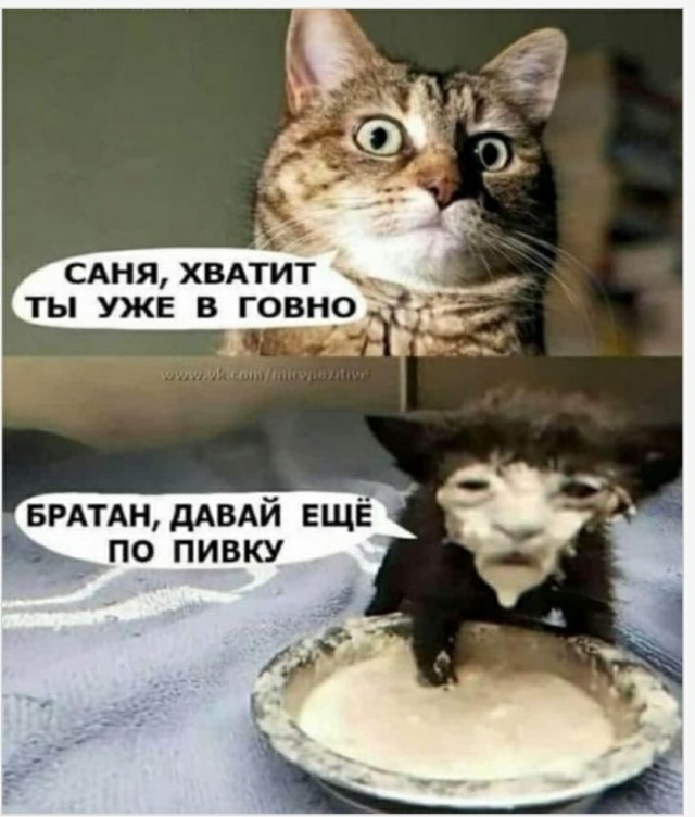 Немного картинок и прочей хреноты Vol. 3
