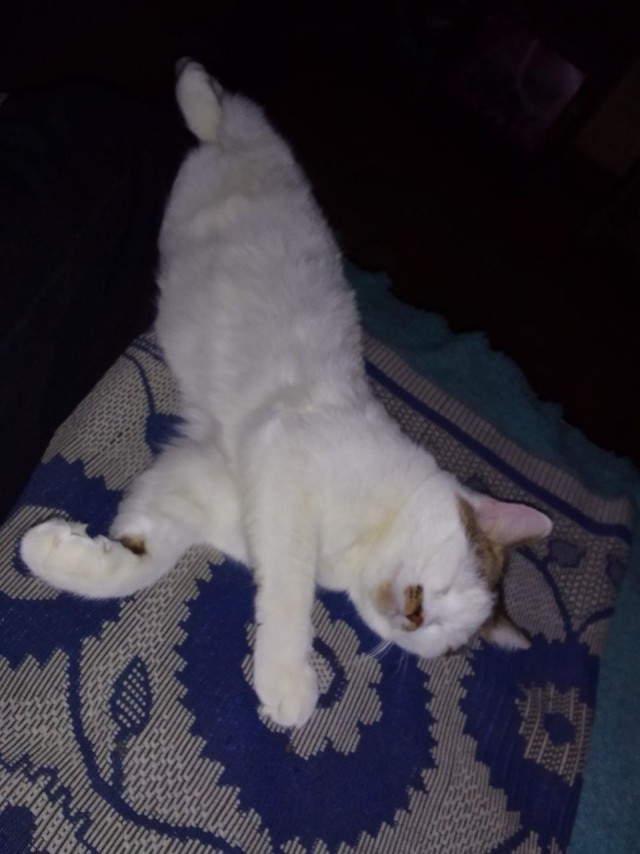Кот д’Ивуар