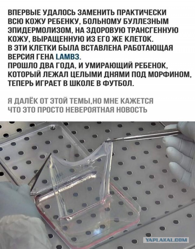 Так, глядишь, и новые зубы наконец выращивать начнут