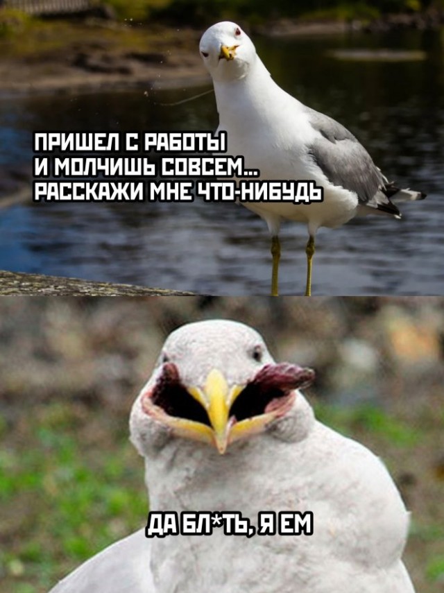 Картинки и мемы для настроения - 03