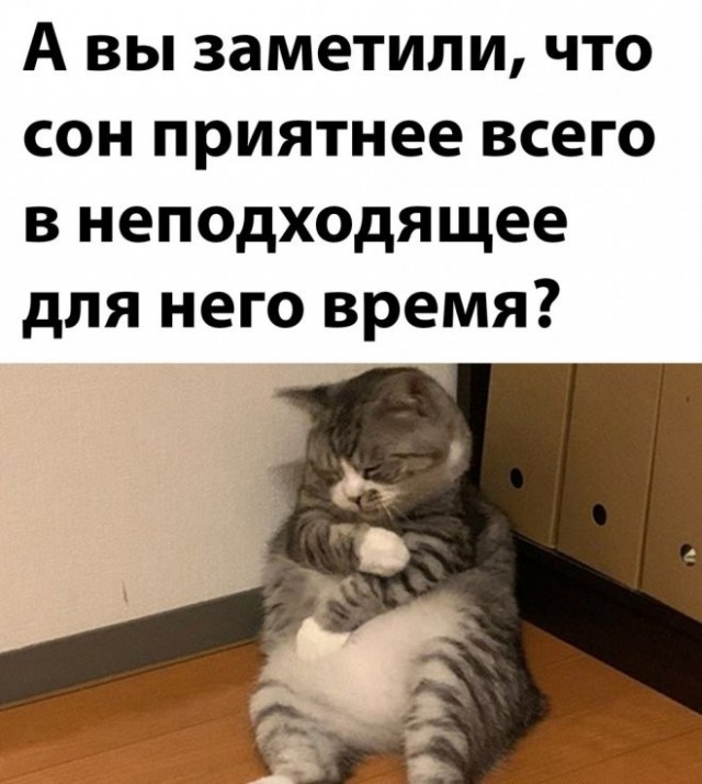 Картинки с надписями 10.09.22