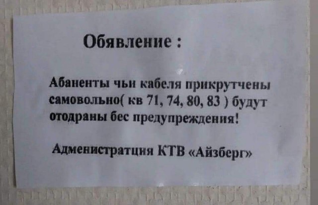 Чуток картинок 11.10.22