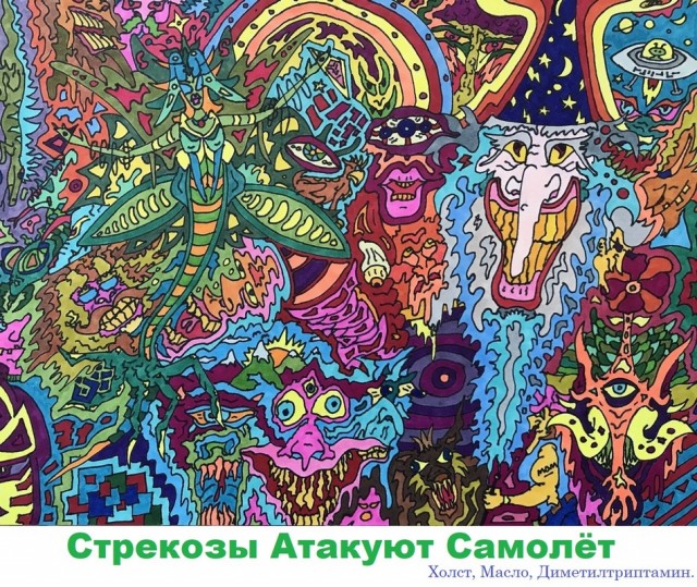 Стрекозы Атакуют Самолёт