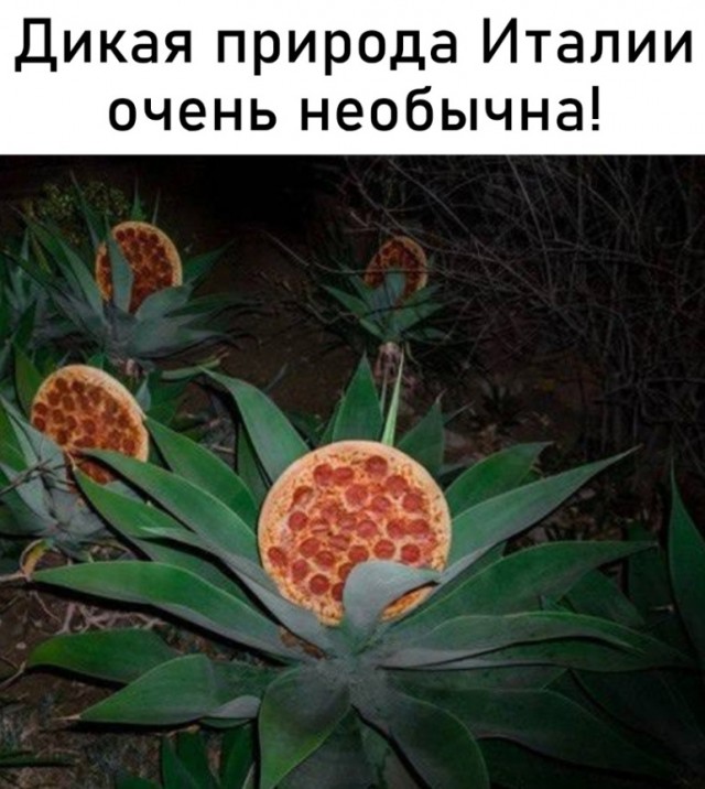 Картинки и мемы для настроения - 015