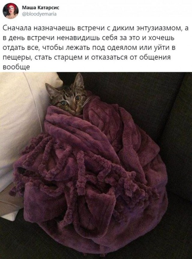 Скриншоты и комментарии из социальных сетей 12.01.23