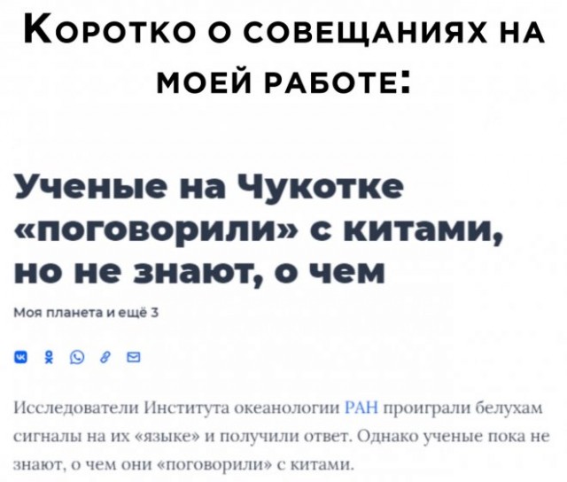 Картинки и мемы, всем хороших выходных