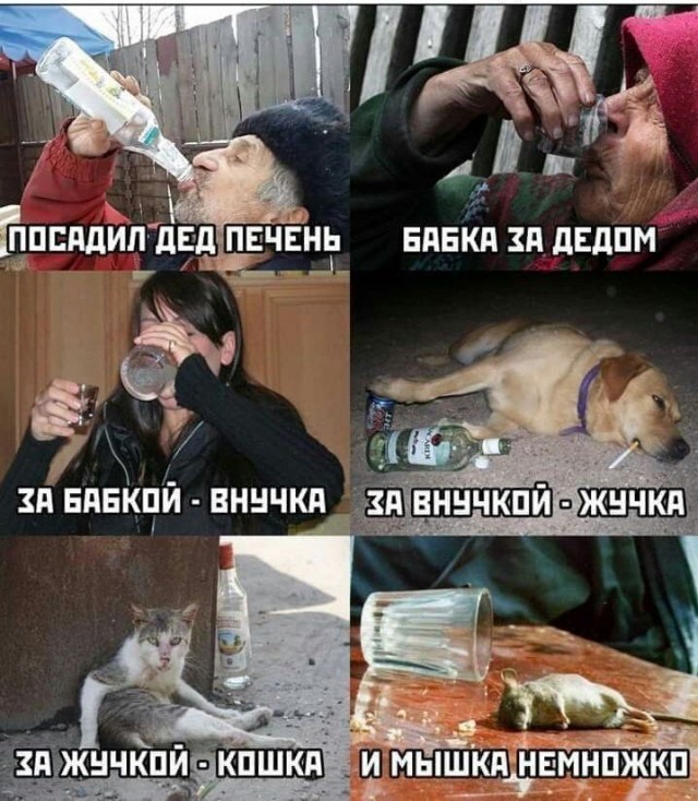 Околоалкогольные мемчики