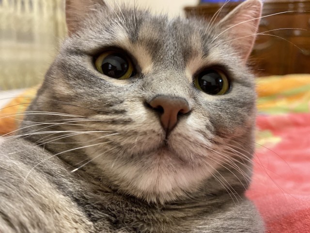 Всем здрасьте