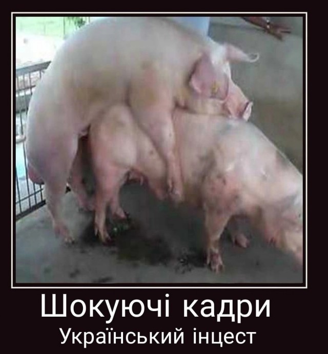 Совет