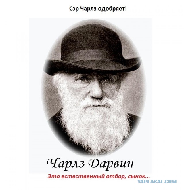 Люби маму, папу, рэп и громкие девятки