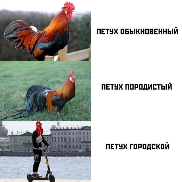Если вы думайте, что электросамокатчики белые и пушистые, то посмотри это видео из Троицка. Парень сбил ребенка и просто уехал