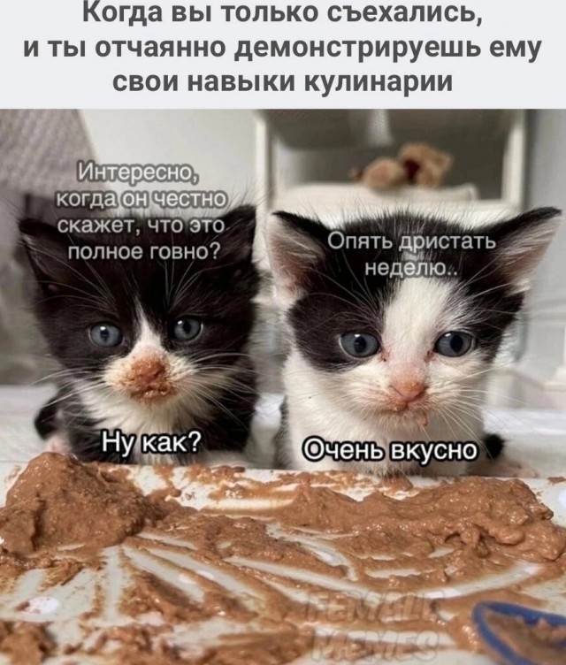 Картинки и мемы, это май-чародей всяко разно - 177