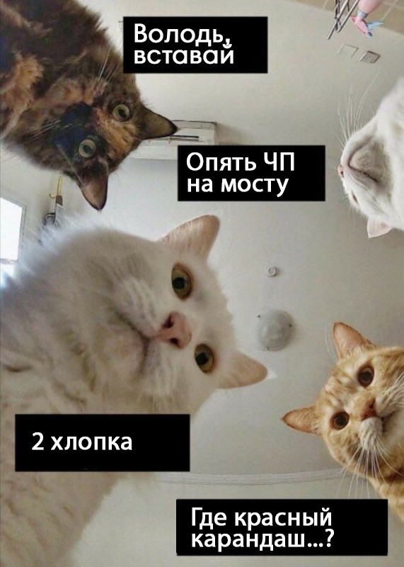 Доброе утро, Володя