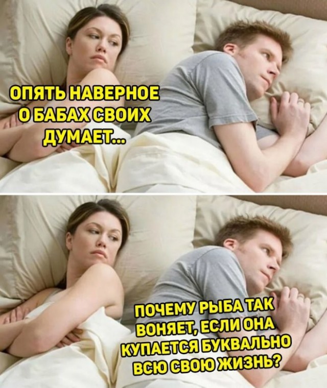 Так себе картинки 05.08.23