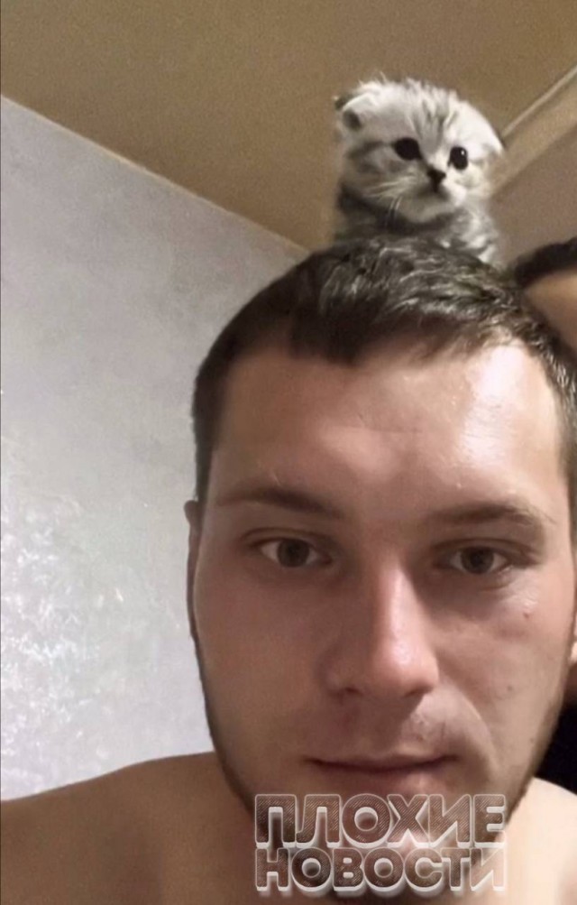"Если не умрешь, найду и добью"
