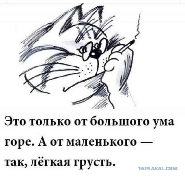 Ульяновца оштрафовали за критику работы городского транспорта и чиновников