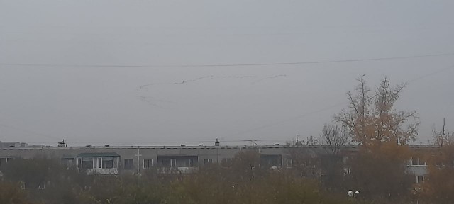 Тернистый путь любви. Лит.конкурс "Пятак"