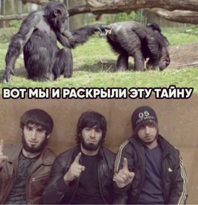 Слушайте, это уже реально за гранью