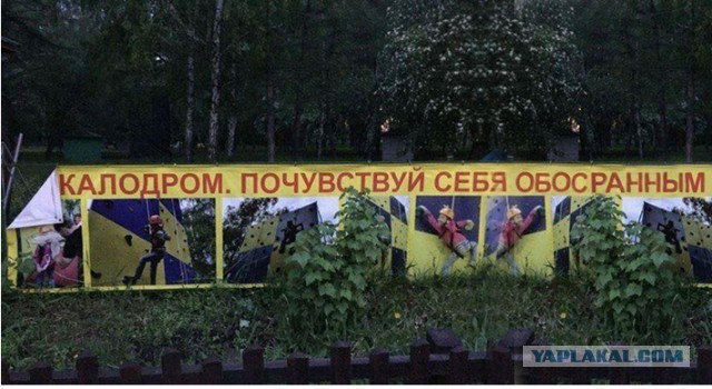 Нуштош 08.11.2023