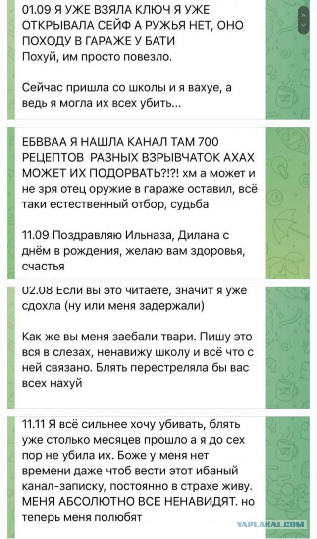 Школьница устроила стрельбу в брянской школе