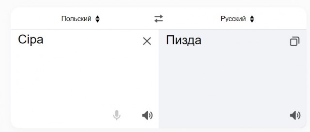 Поляк встретил француза на дороге