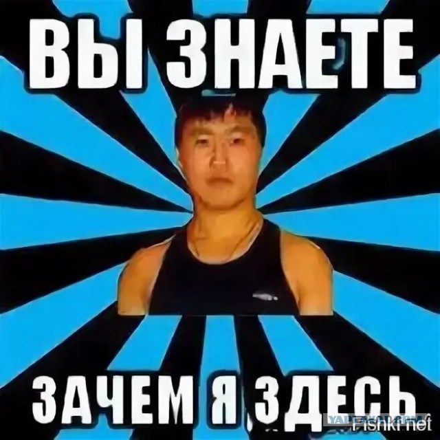 Это был не енот