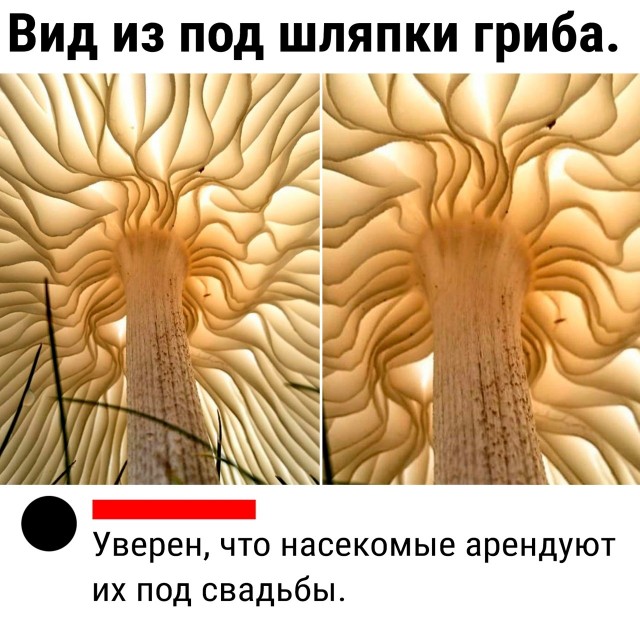 Так себе картинки 13.02.24