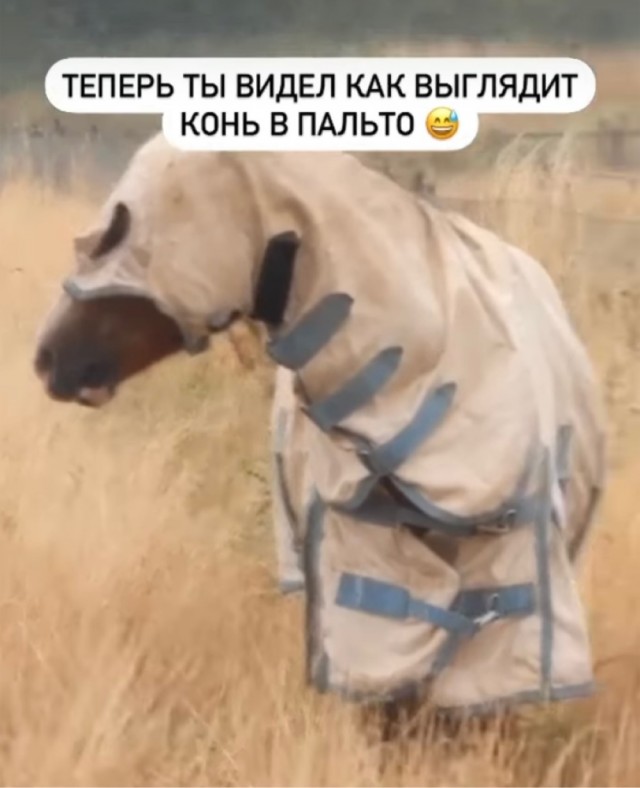 Тлидцать тли от 14 маЛта