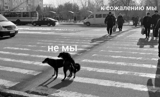 Всего понемногу. От 17.04.24.