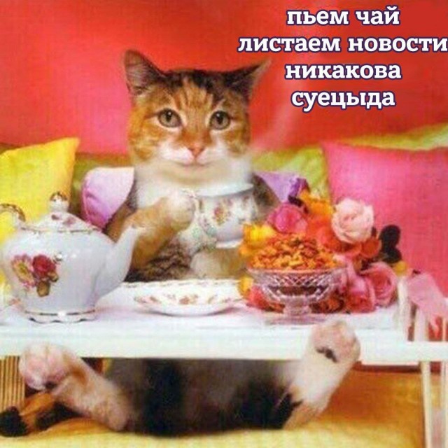 Никакие картинки