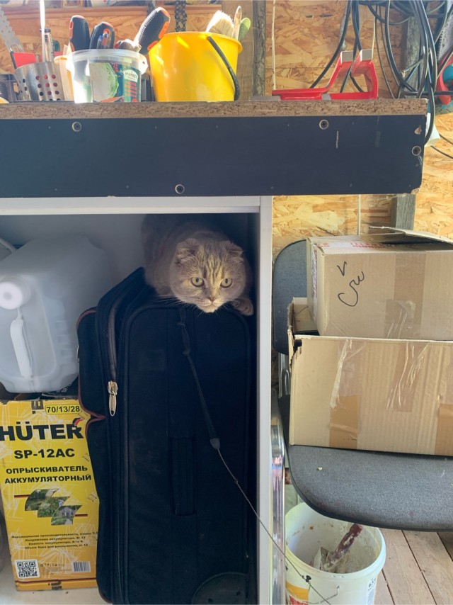 Принимайте в собратья, которабы