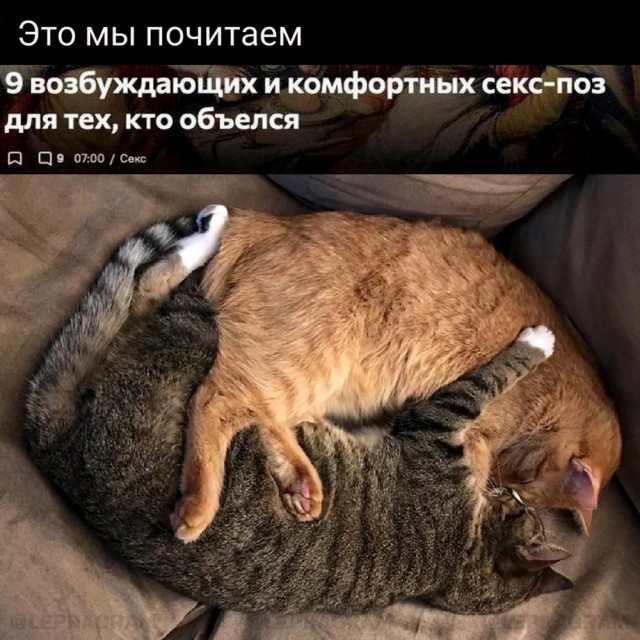 Нуштош 05.07.2024