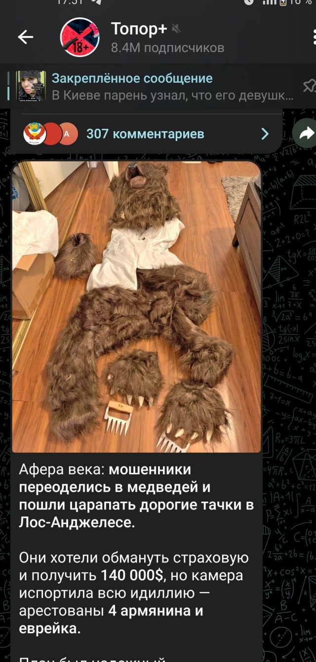 В США мужчина переоделся в костюм медведя, чтобы поцарапать свою машину и получить за нее страховые выплаты