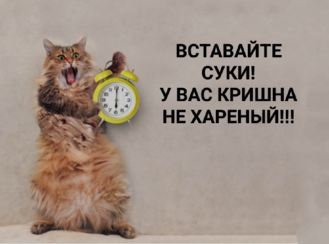 Харе Кришна по-красноярски