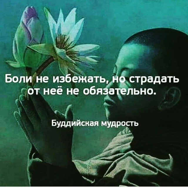 Прикольные и просто красивые картинки 10.01.2025