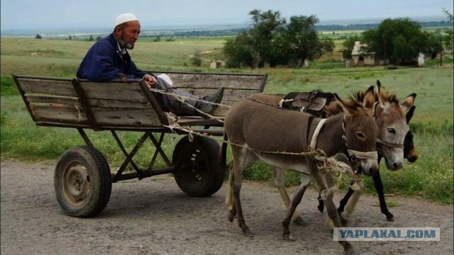 Про сайт знакомств и женские сапоги