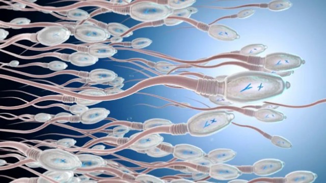 Врачи нашли лекарство для израильтянина, который страдал от «аллергии на оргазм»