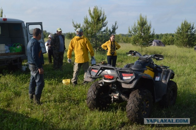 Поплавок 2013