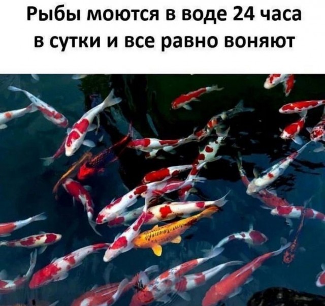Маленькая пятница 21.05.25