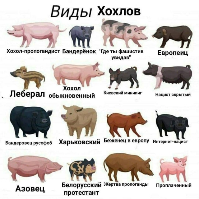 Кадры прилета трёх российских крылатых ракет по Луцку