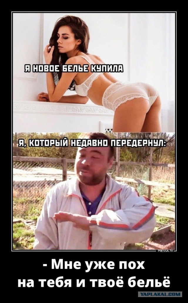 Забавные картинки, шутки из этих ваших интернетов