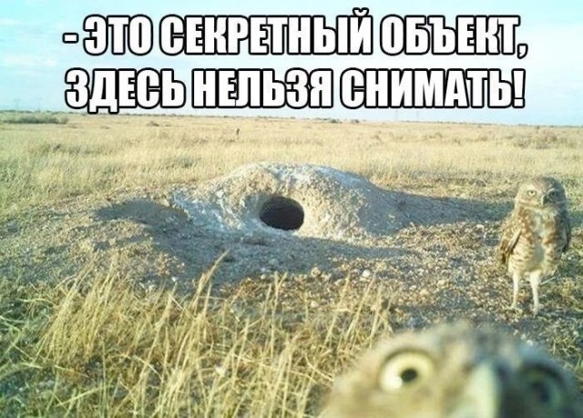 Нуштош 04.07.2025. Обитатели обители теней (s4e2)