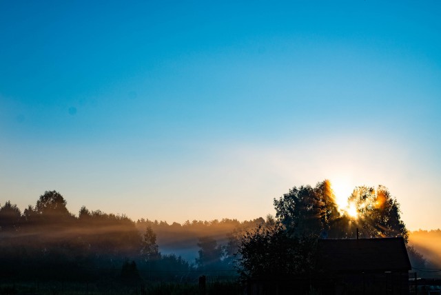 Поймал кто солнышко пиздит