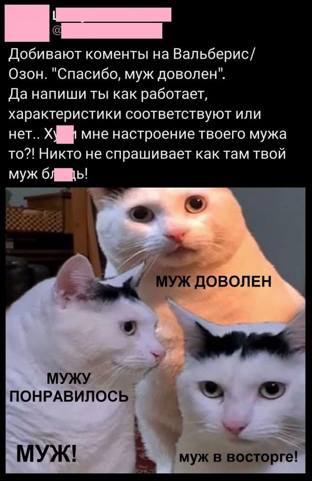Так себе картинки 05.08.25