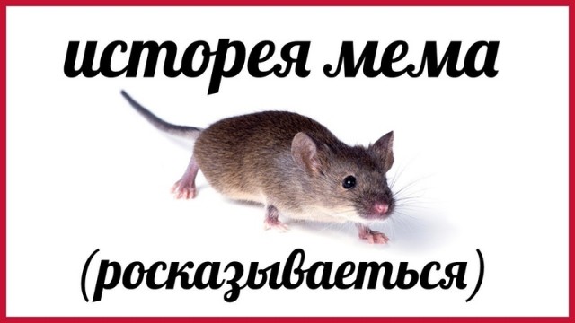 Забавные картинки, шутки из этих ваших интернетов
