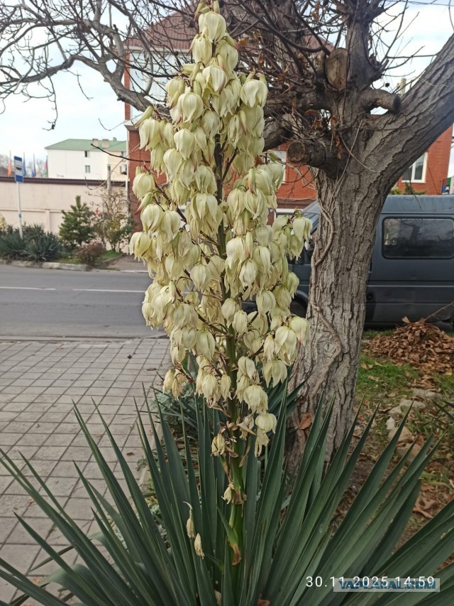Привет, зима
