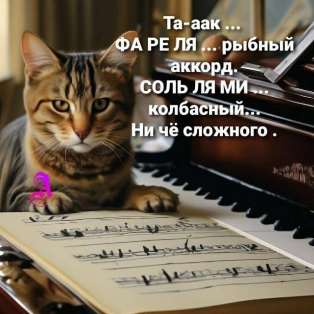 Среды картинки